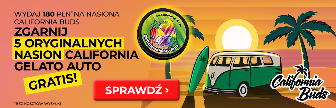 California Gelato Auto Gratis