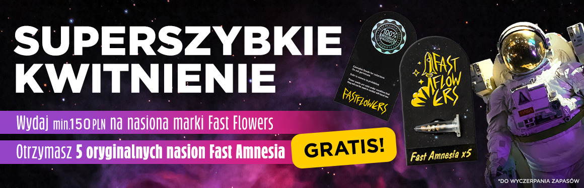 5x Fast Amnesia Gratis