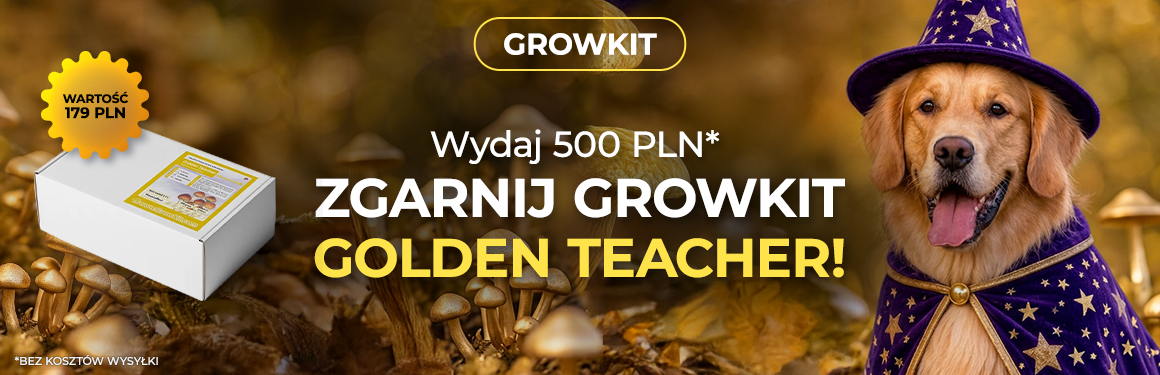 Golden Teacher Gratis