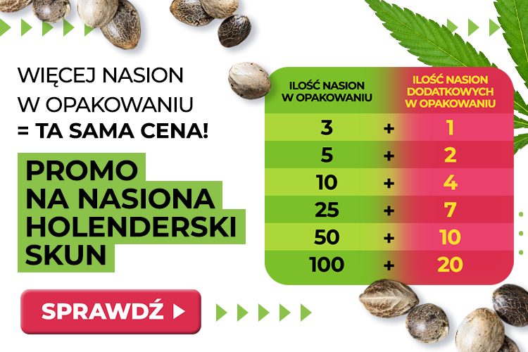 Promo Holenderskiskun
